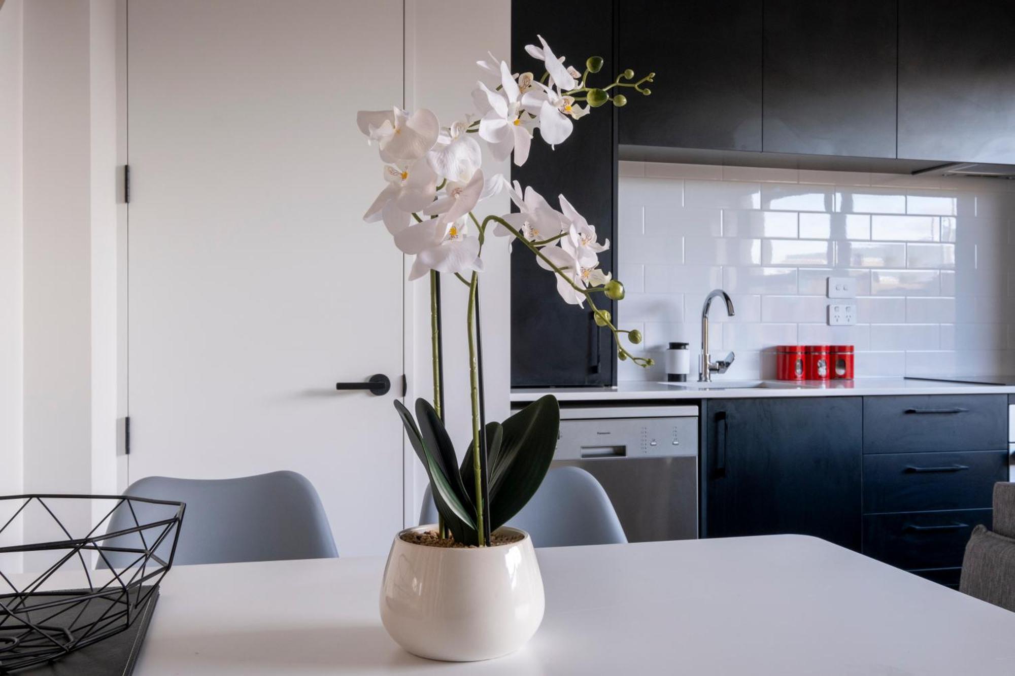 Luxury 2 Bed Townhome In Cbd Christchurch Dış mekan fotoğraf