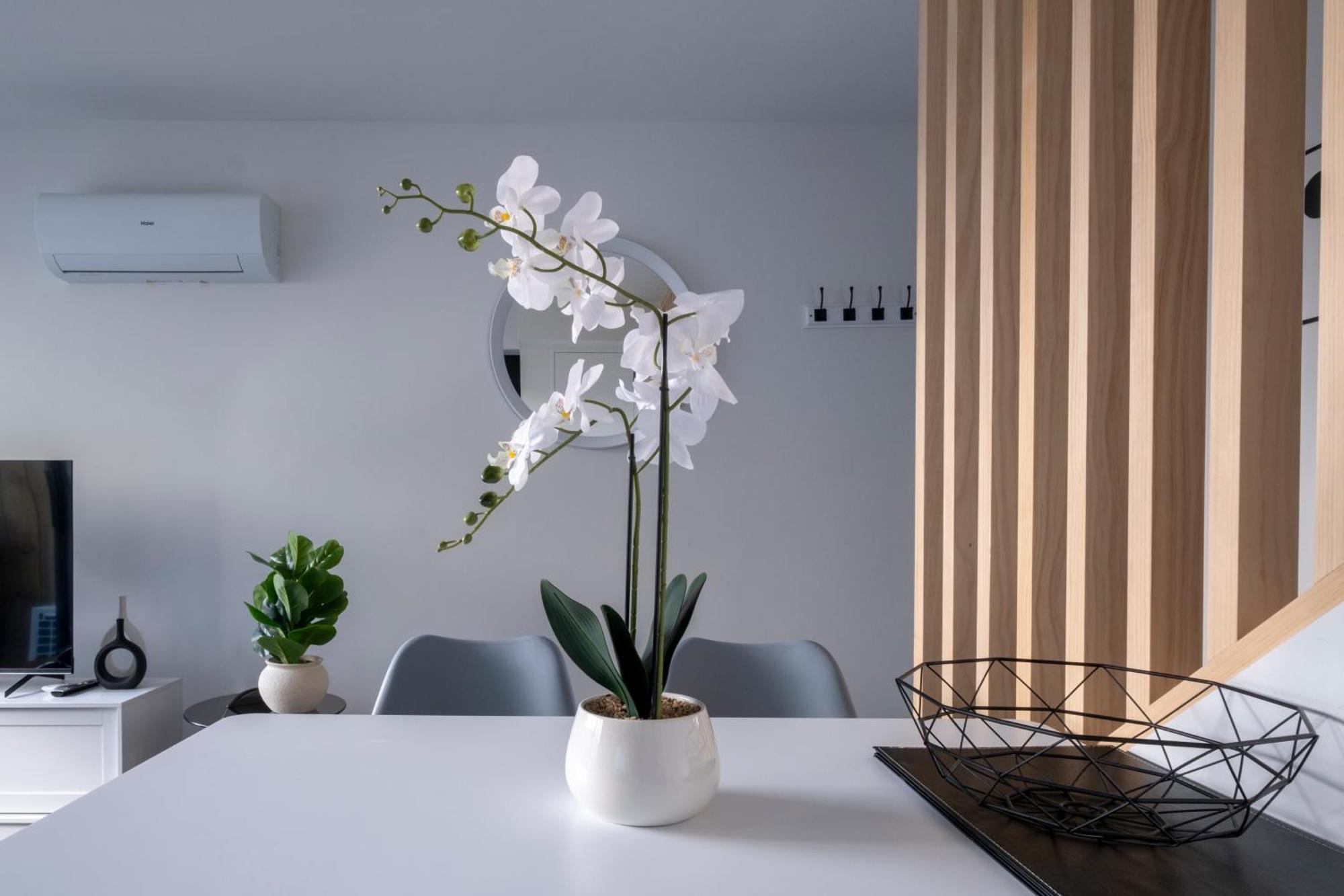 Luxury 2 Bed Townhome In Cbd Christchurch Dış mekan fotoğraf