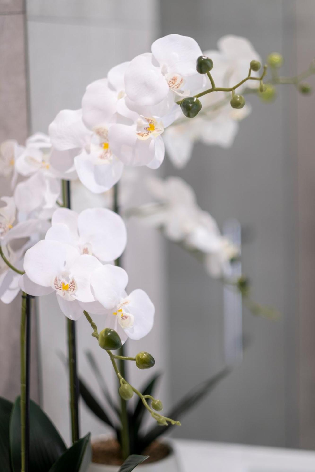 Luxury 2 Bed Townhome In Cbd Christchurch Dış mekan fotoğraf